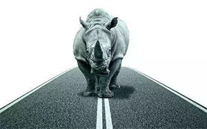 臣通觀點丨小心，中國產(chǎn)業(yè)園區(qū)的“灰犀牛”又來了！